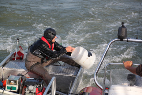 Joint Danube Survey 3-0035.jpg