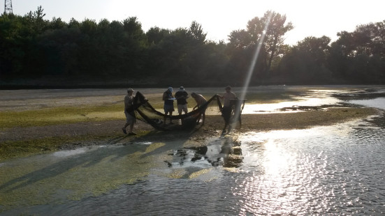 Profisch-Bulgarien-Intercalibration-Donau_1
