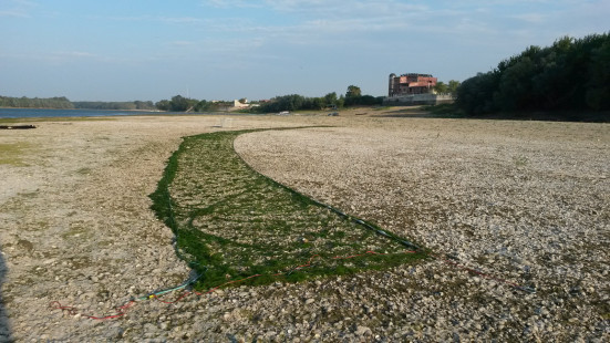 Profisch-Bulgarien-Intercalibration-Donau_2