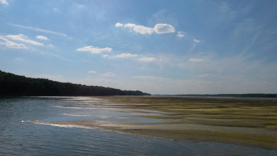 Profisch-Bulgarien-Intercalibration-Donau_4