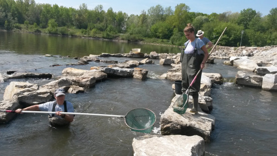 Profisch-FAH-Altenwörth_2