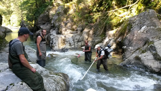 Profisch-GZÜV-STMK-5