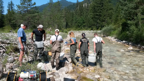 Profisch-GZÜV-STMK-6