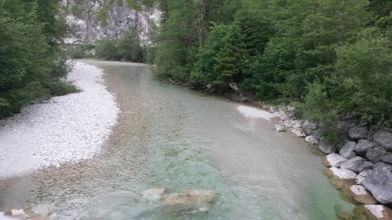 Profisch-GZÜV-STMK_1