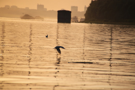 Joint Danube Survey 3-0018.JPG