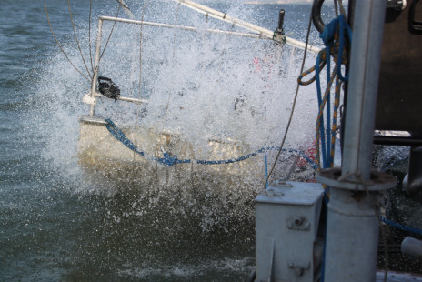 Joint Danube Survey 3-0022.JPG