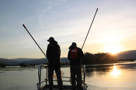 Joint Danube Survey 3-0032.jpg